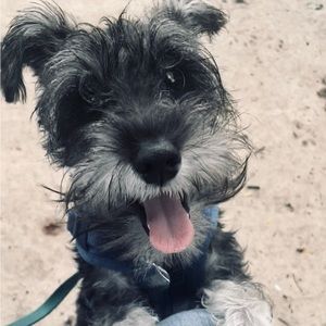 Meet your Posher, Taylor